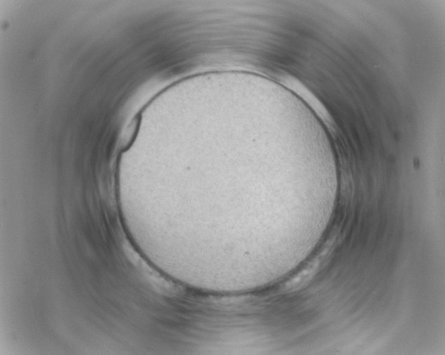 X0000077361004200611171918