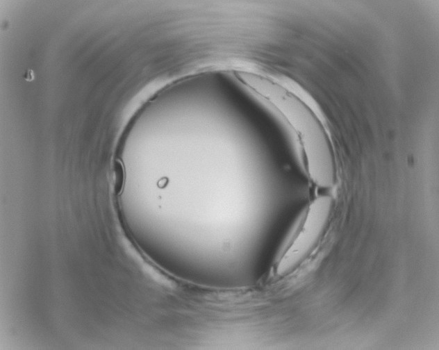 X0000077361005200611171918