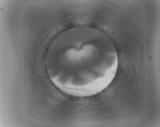 X0000077361009200611171918