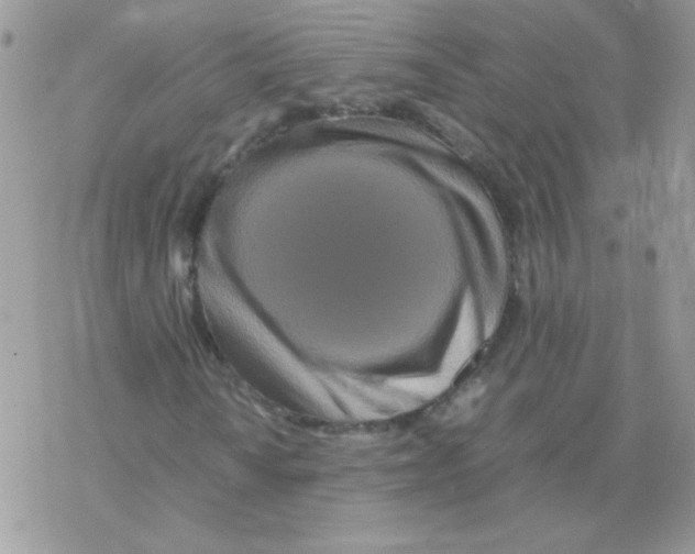 X0000077361010200611171918