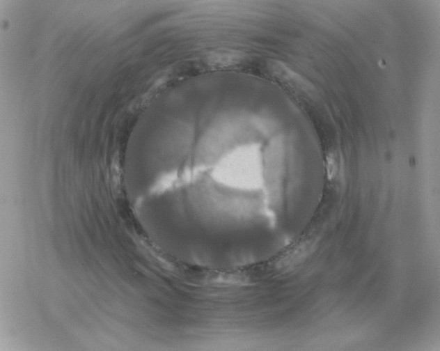 X0000077361011200611171918