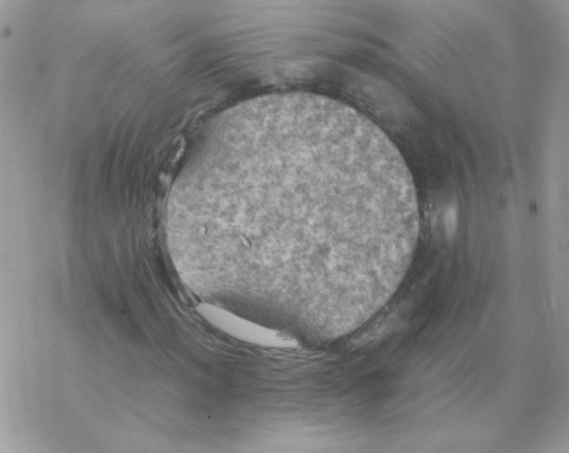 X0000077361012200611171918