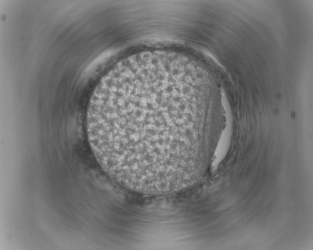 X0000077361016200611171918