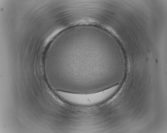 X0000077361018200611171918