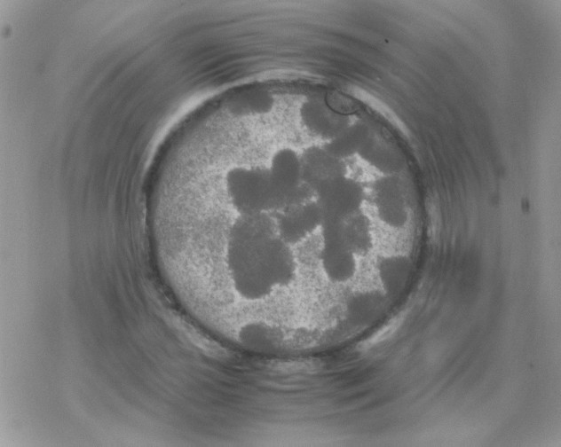 X0000077361021200611171918