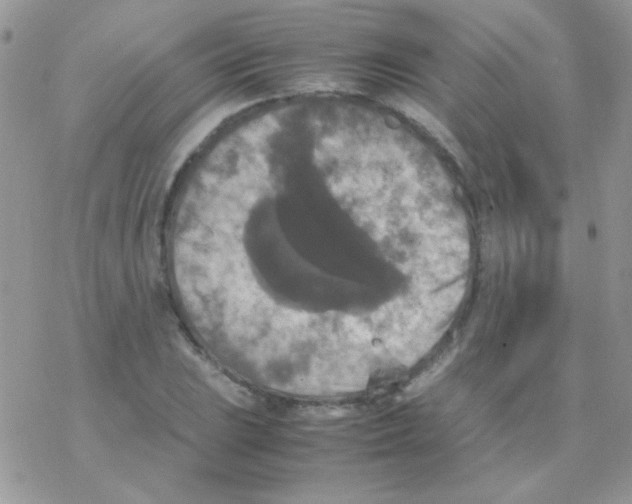 X0000077361023200611171918