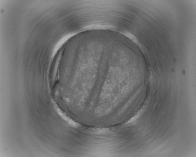 X0000077361030200611171918