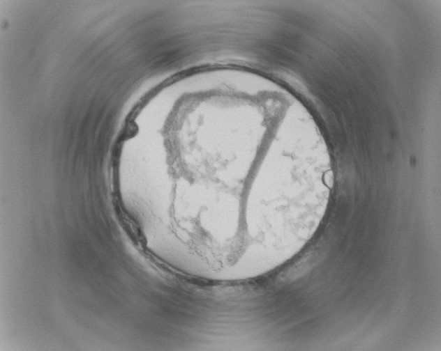 X0000077361032200611171918