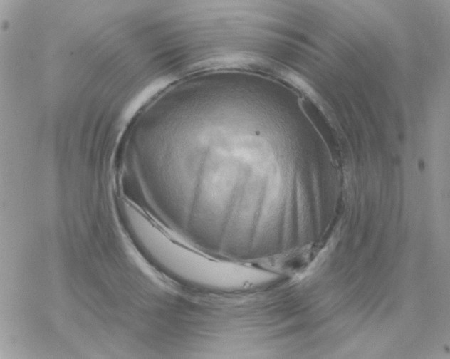 X0000077361034200611171918