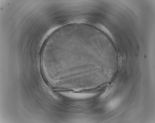 X0000077361035200611171918