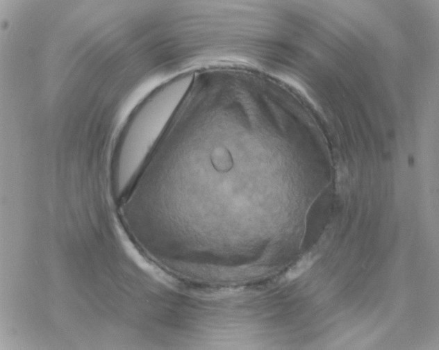 X0000077361038200611171918