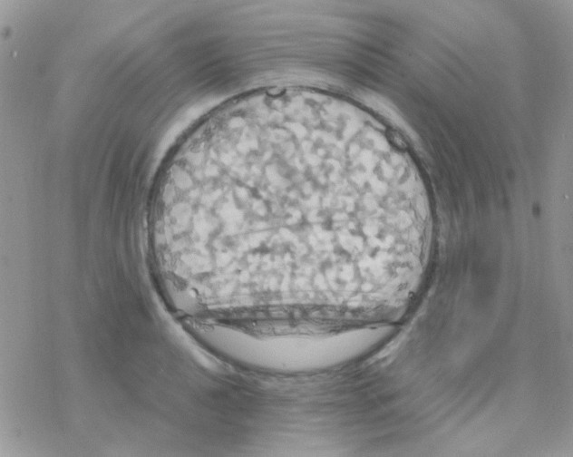 X0000077361040200611171918