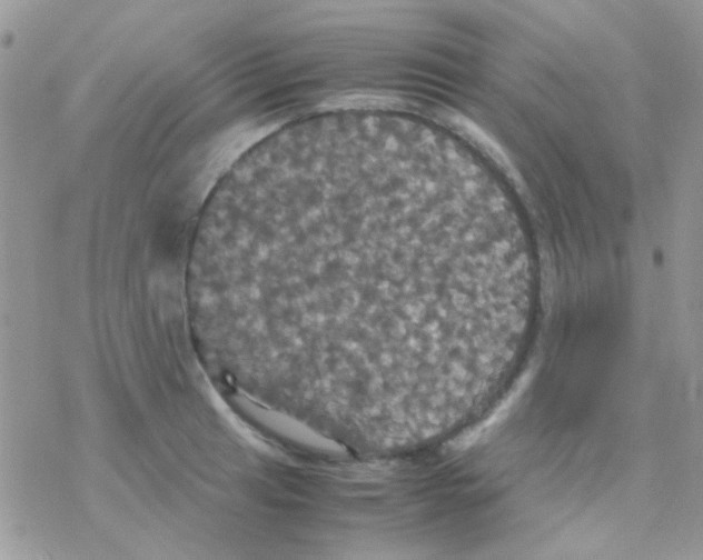 X0000077361041200611171918