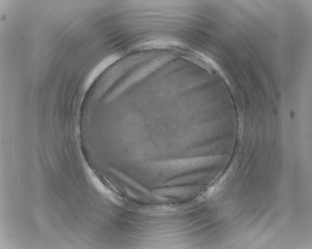 X0000077361042200611171918