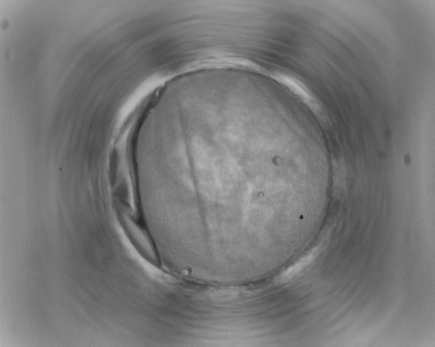 X0000077361046200611171918