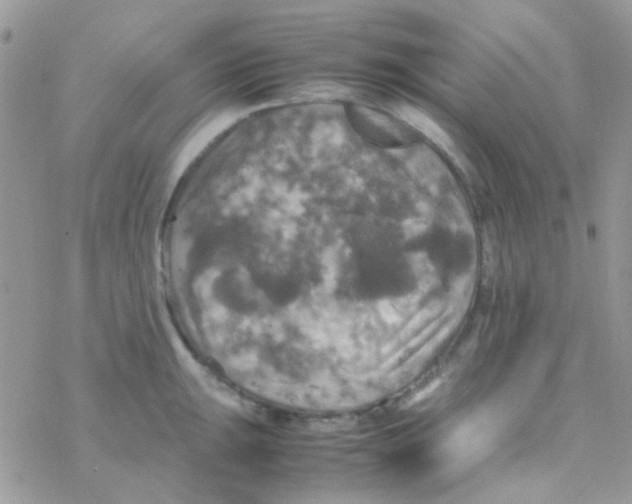 X0000077361047200611171918