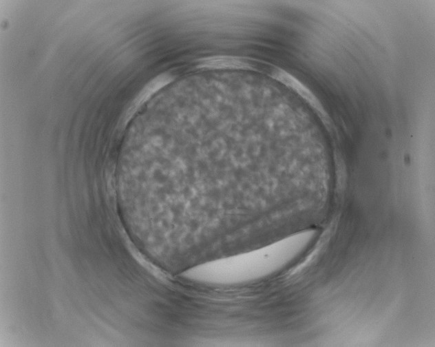 X0000077361049200611171918