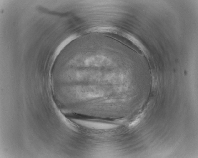 X0000077361050200611171918