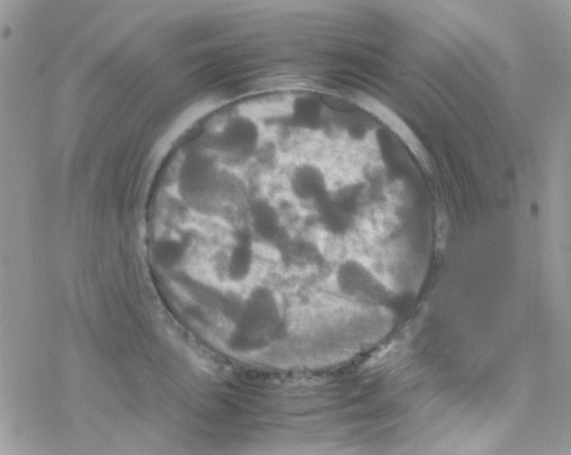 X0000077361051200611171918