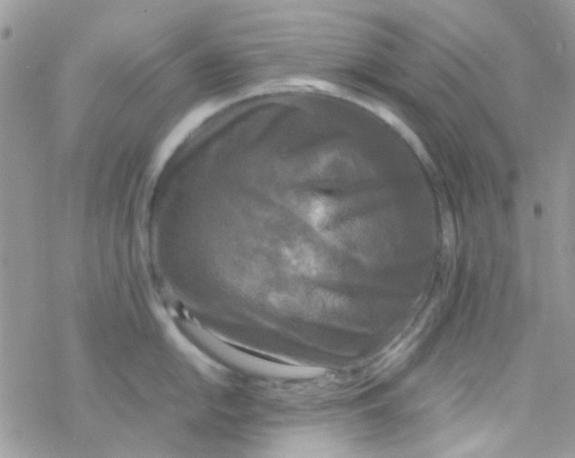 X0000077361054200611171918