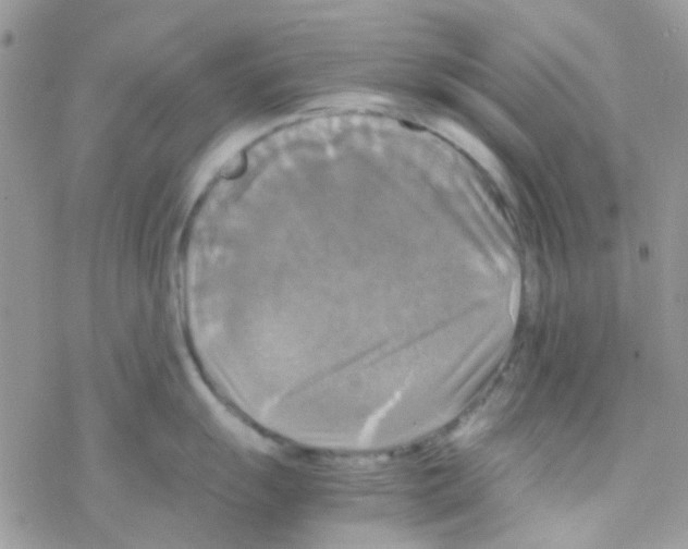 X0000077361055200611171918