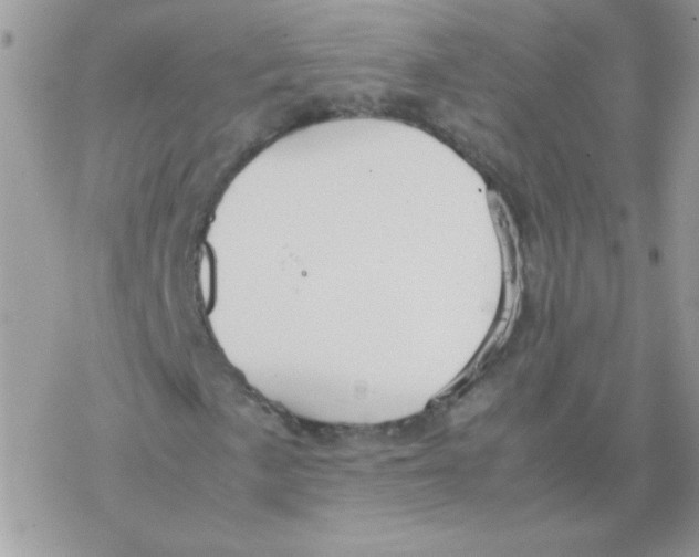 X0000077361057200611171918