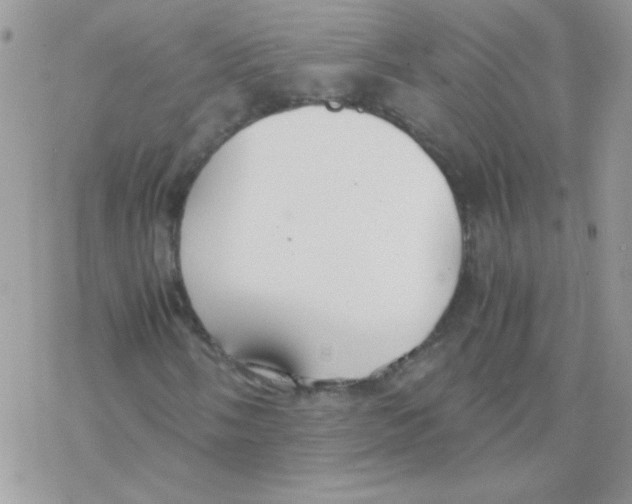 X0000077361058200611171918