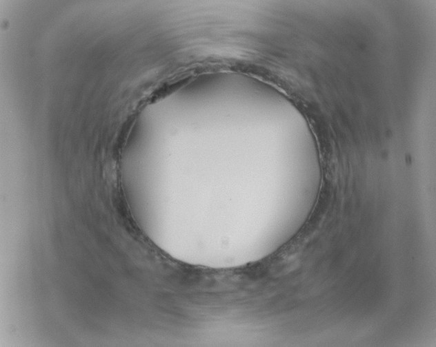 X0000077361061200611171917