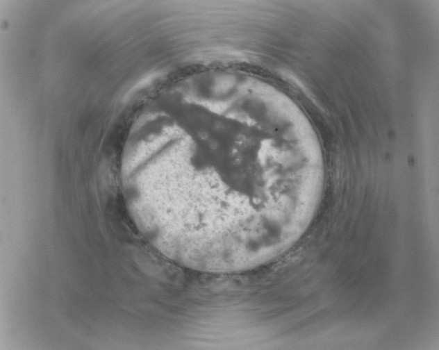 X0000077361063200611171917