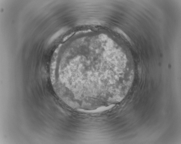 X0000077361064200611171917