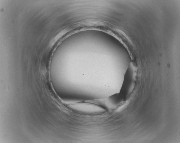 X0000077361065200611171917