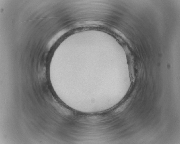 X0000077361066200611171917