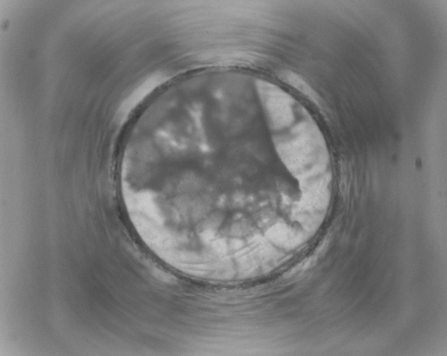 X0000077361071200611171917