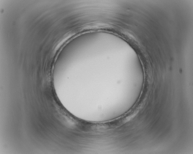 X0000077361073200611171917