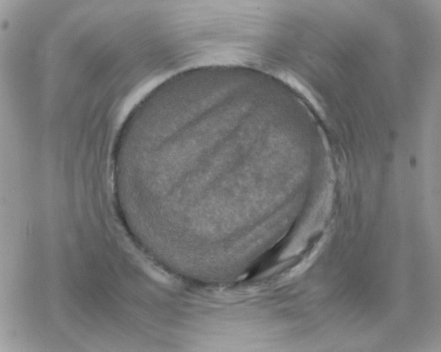 X0000077361077200611171917