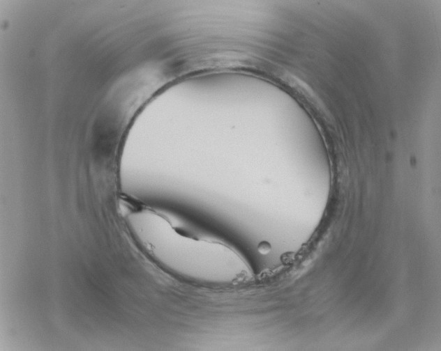 X0000077361081200611171917