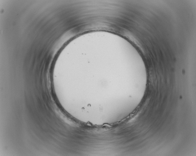 X0000077361082200611171917