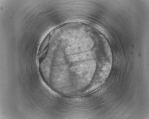 X0000077361084200611171917