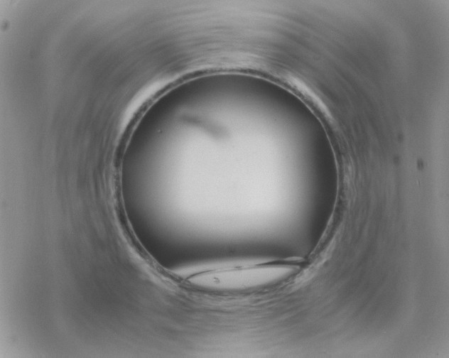 X0000077361085200611171917