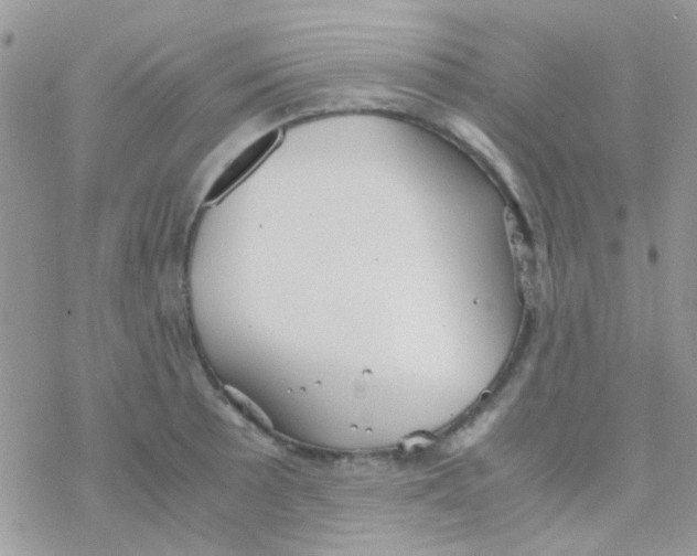 X0000077361089200611171917