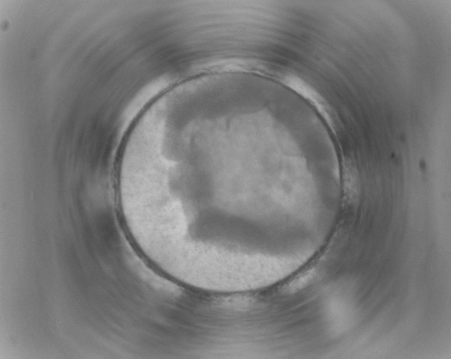 X0000077361090200611171917