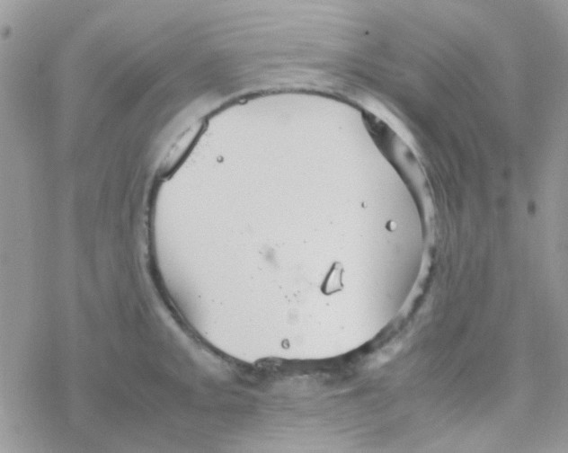 X0000077361093200611171917