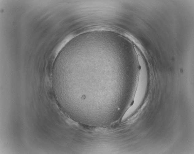 X0000077361097200611171917