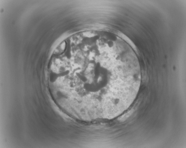 X0000077361099200611171917