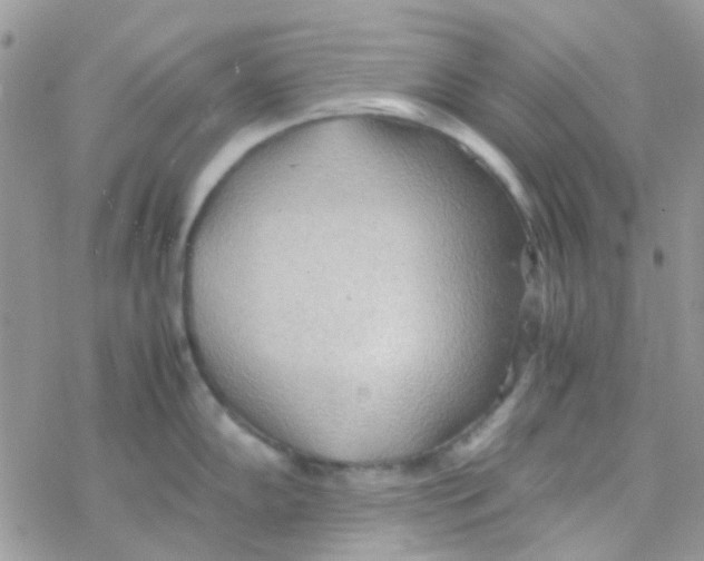 X0000077361102200611171917