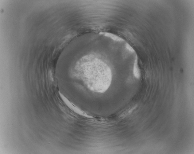 X0000077361106200611171916