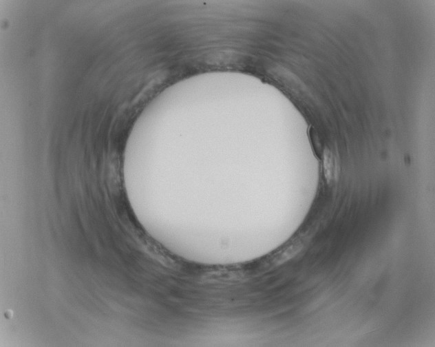 X0000077361107200611171916