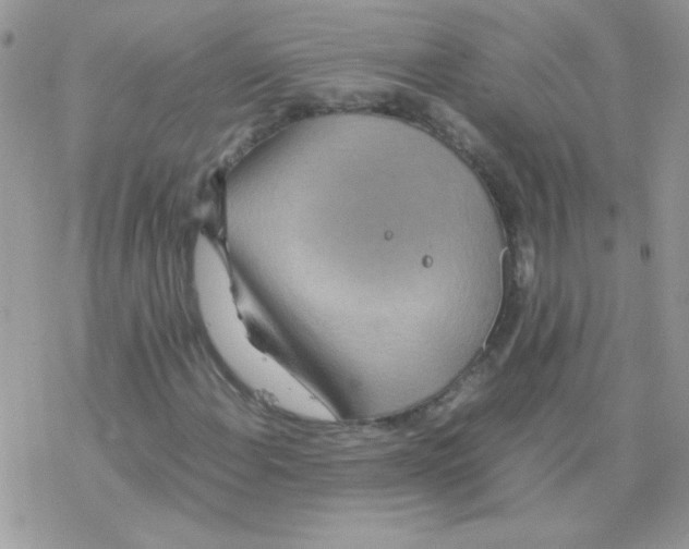 X0000077361108200611171916