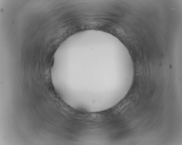 X0000077361109200611171916