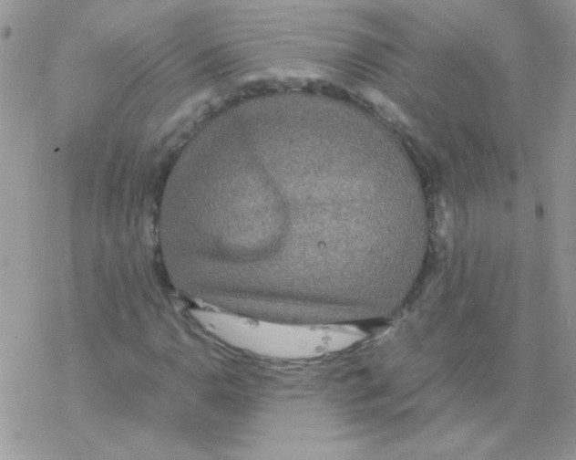 X0000077361110200611171916